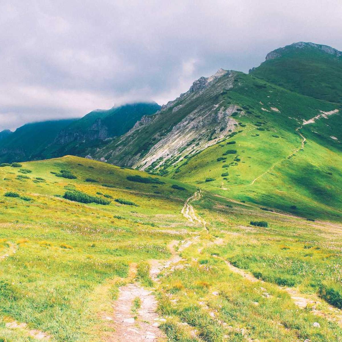 LunaCare Eco Device – 해외 프로젝트(베트남 메타벗 쇼핑센터)