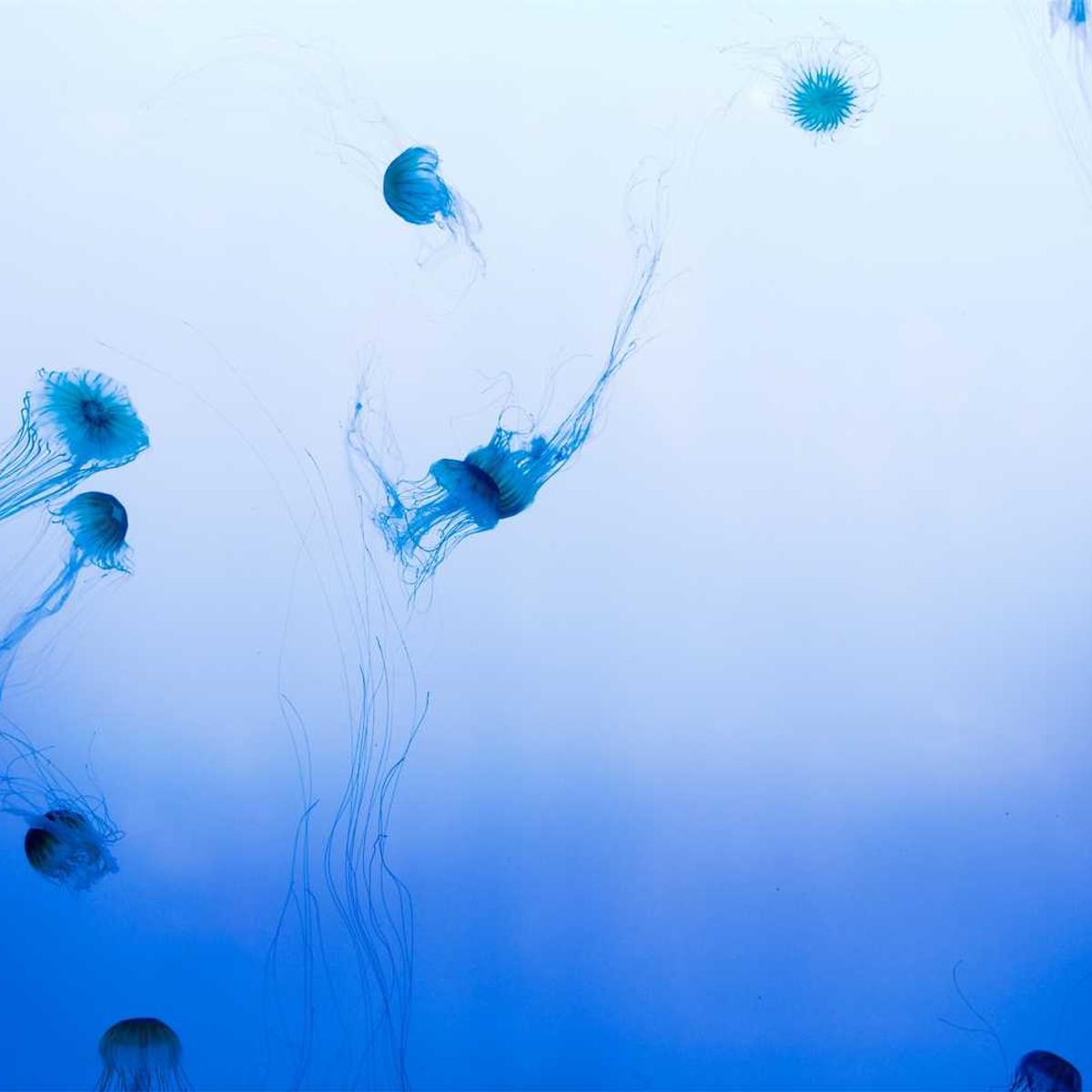 PureWave Pure Kit – 의약품 납품