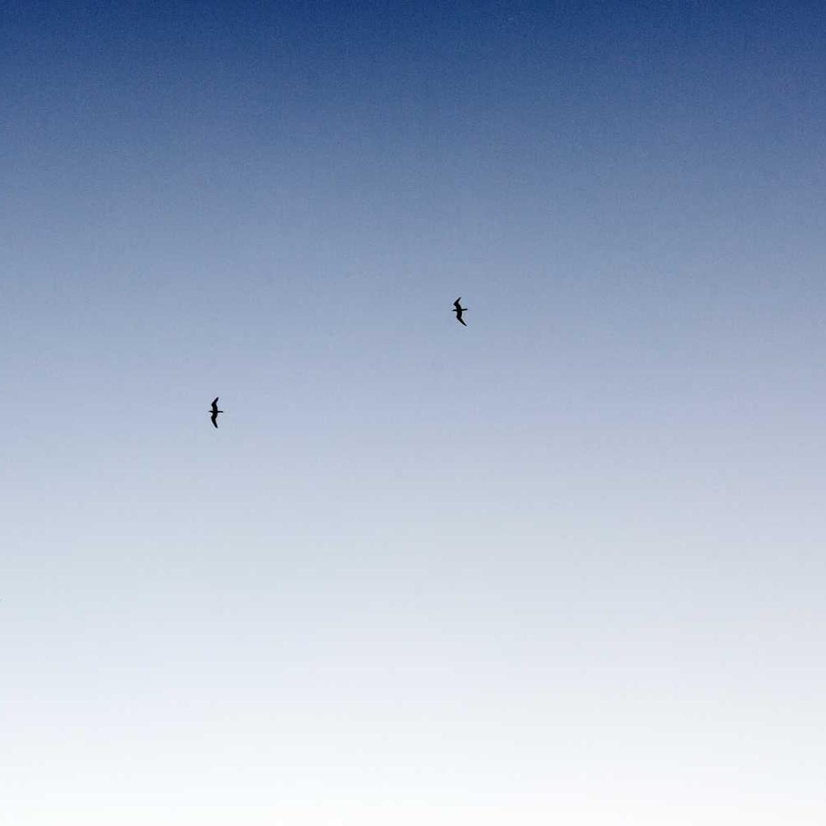 PureWave Active System – 마스크팩